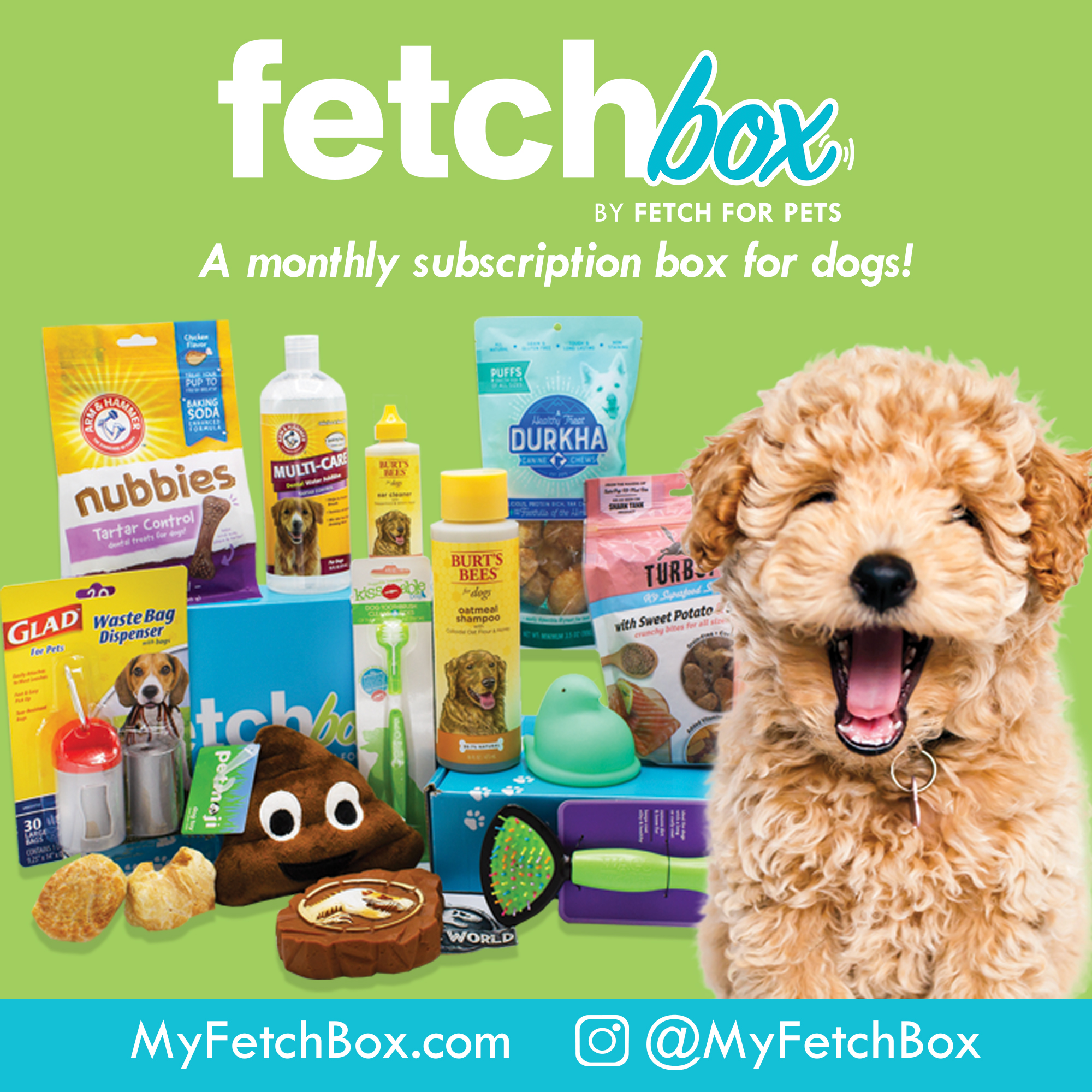 FetchBox - The Monthly Subscription Box For Dogs Curated by Fetch For Pets