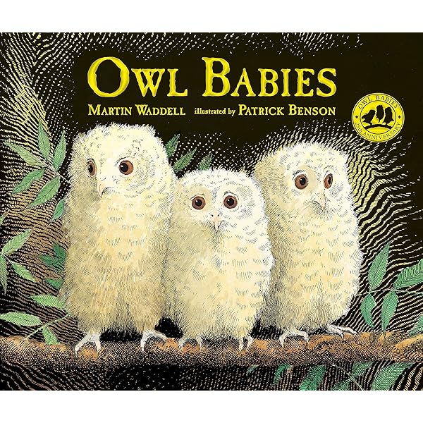 owl babies story