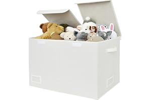 GRANNY SAYS Extra Large Storage Box with Lid, Pack of 1 Fabric Box, Organizer and Storage Bins for Living Room, Dust-proof St
