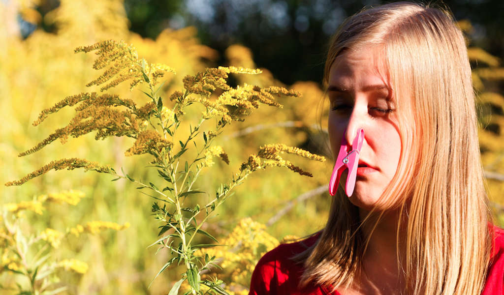 Allergy Relief Sourcebook : Discover the Secrets, Strategies, Tips and Tools You Need To Balance Allergy Relief - Thumbnail 3