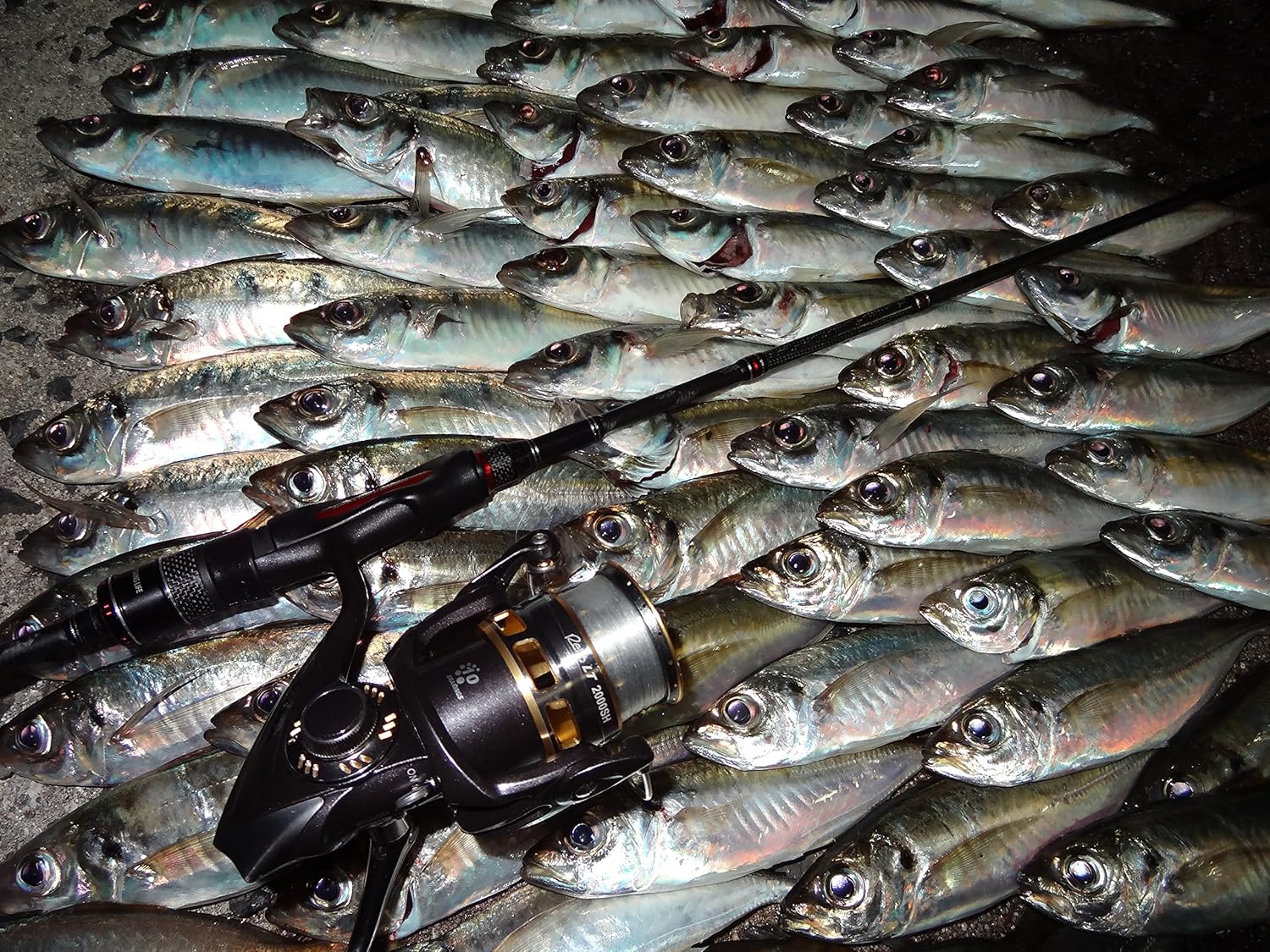 B018ti2i5o アブガルシア Abu Garcia アジング ロッド スピニングソルティースタイル Stas 692ls Kr アジング ロックフィッシュロッド 海外 正規品