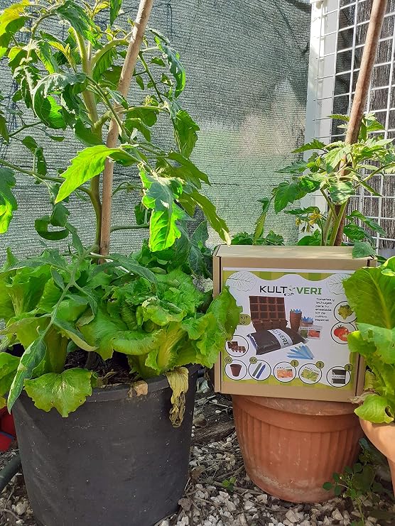 KULTIVERI Set de Cultivo de Lechugas y Tomates de 35 Piezas ...
