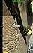 UAV Stealth Fighter 3D