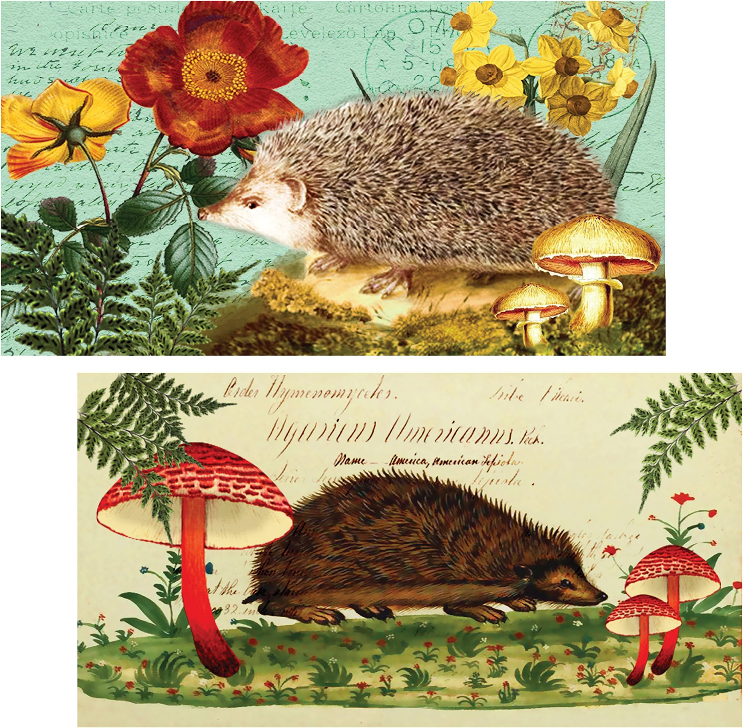 World Buyers Decorative Matches (Hedgehog)