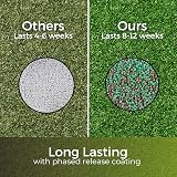 Garden Lawncare Guy Green Autumn/Winter Lawn Fertiliser 3 Month Feed view 3