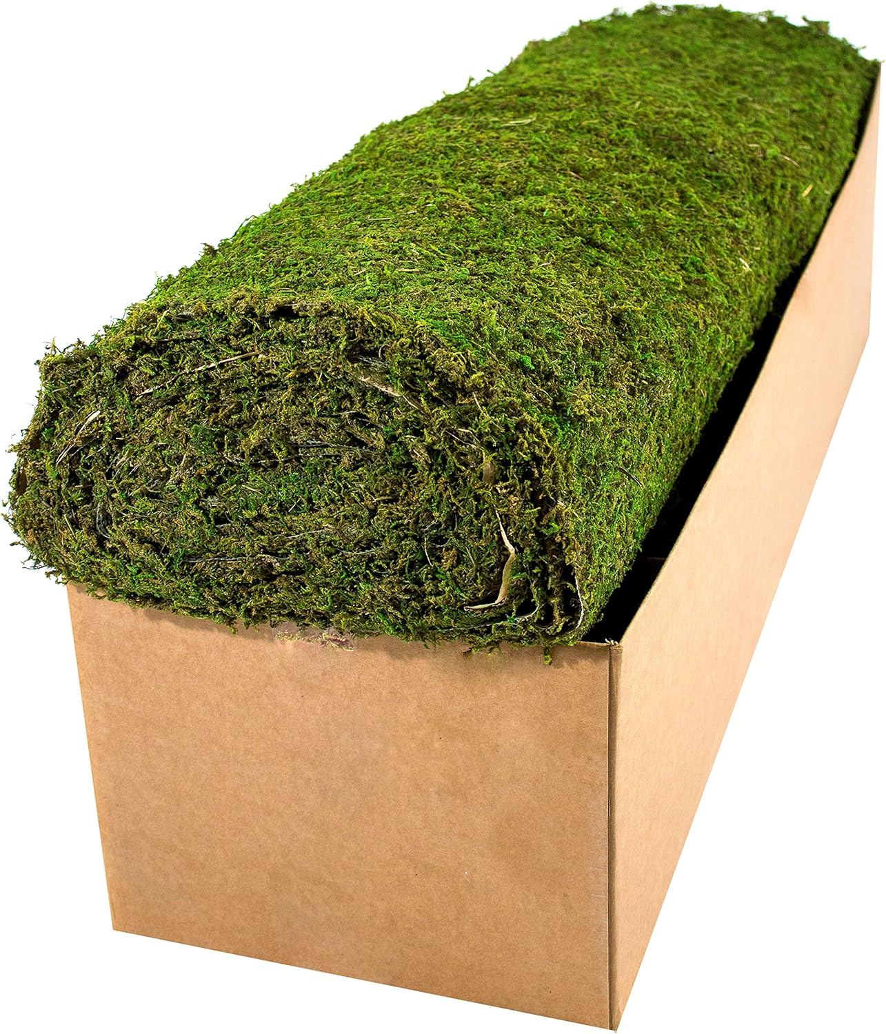SuperMoss (22395) InstantGreen Moss Mat, Fresh Green, 3ft x 25ft Garden & Outdoor