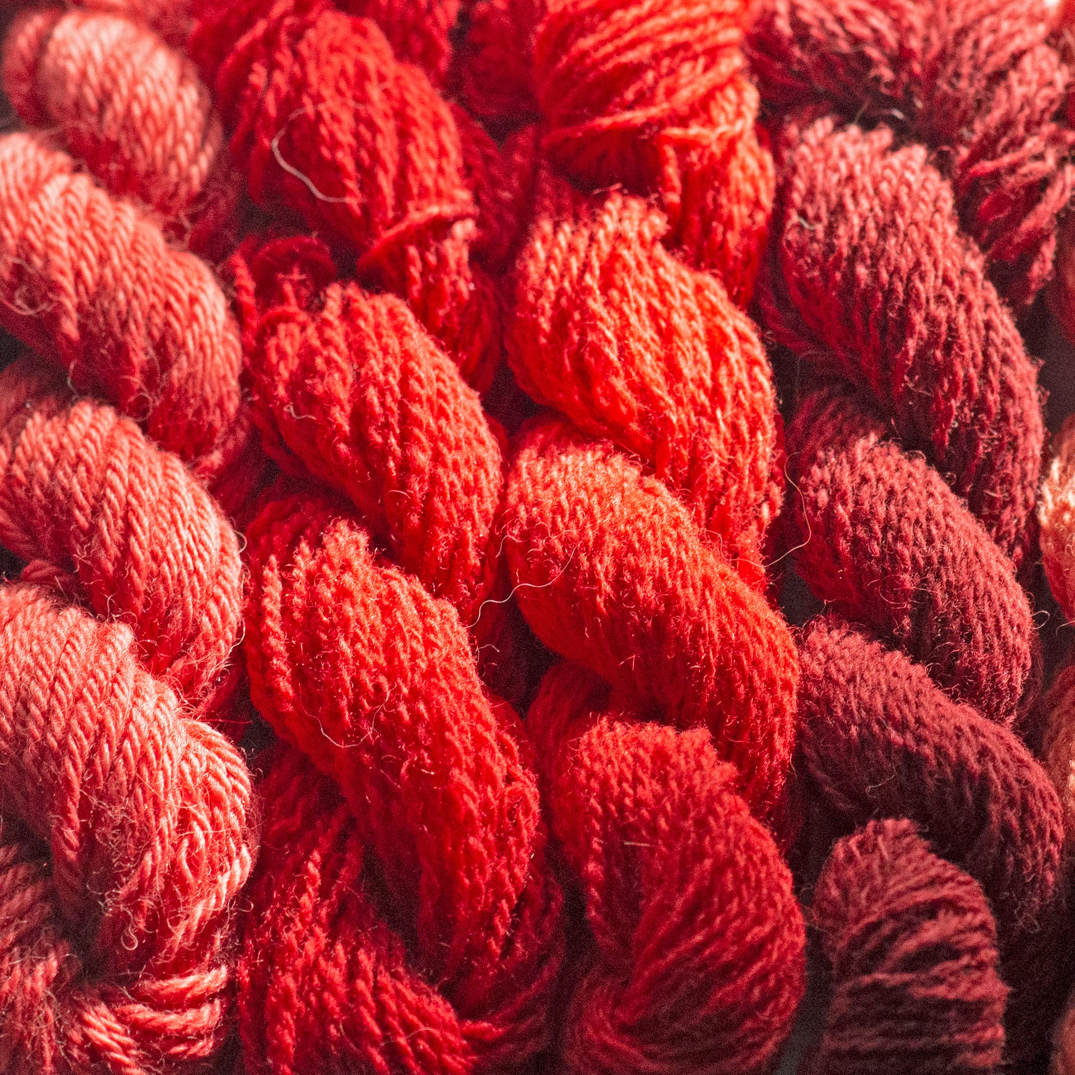 Shepherd Textiles Wild Madder Extract Natural Dye, 1 oz.