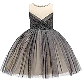 Glamulice Princess Sparkle Tulle Dress Little/Big Girls A Line Bridesmaid Wedding Birthday Party Pageant Tutu Dresses