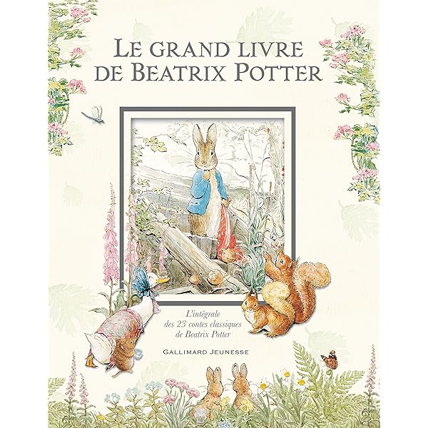 PIERRE LAPIN: POTTER,BEATRIX: 9782070632343: Books - Amazon.ca