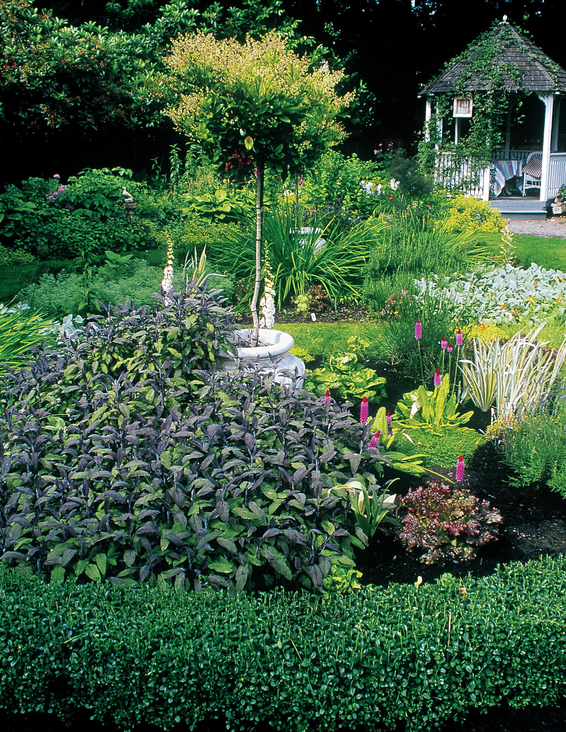 California Home Landscaping, Fourth Edition: 48 Landscape Designs 200+ Plants & Flowers Best Suited to the Region (Creative Homeowner) Over 400 Photos, Native Plant Profiles, and Outdoor DIY Projects