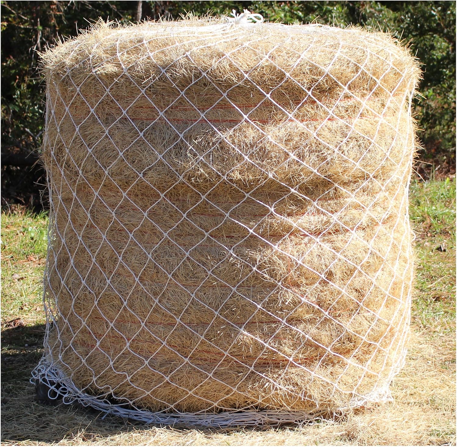 Amazon Com Goodwin Netting 4 X 5 Round Bale 4 Horse Hay Net 700 Lb Test Pet Supplies