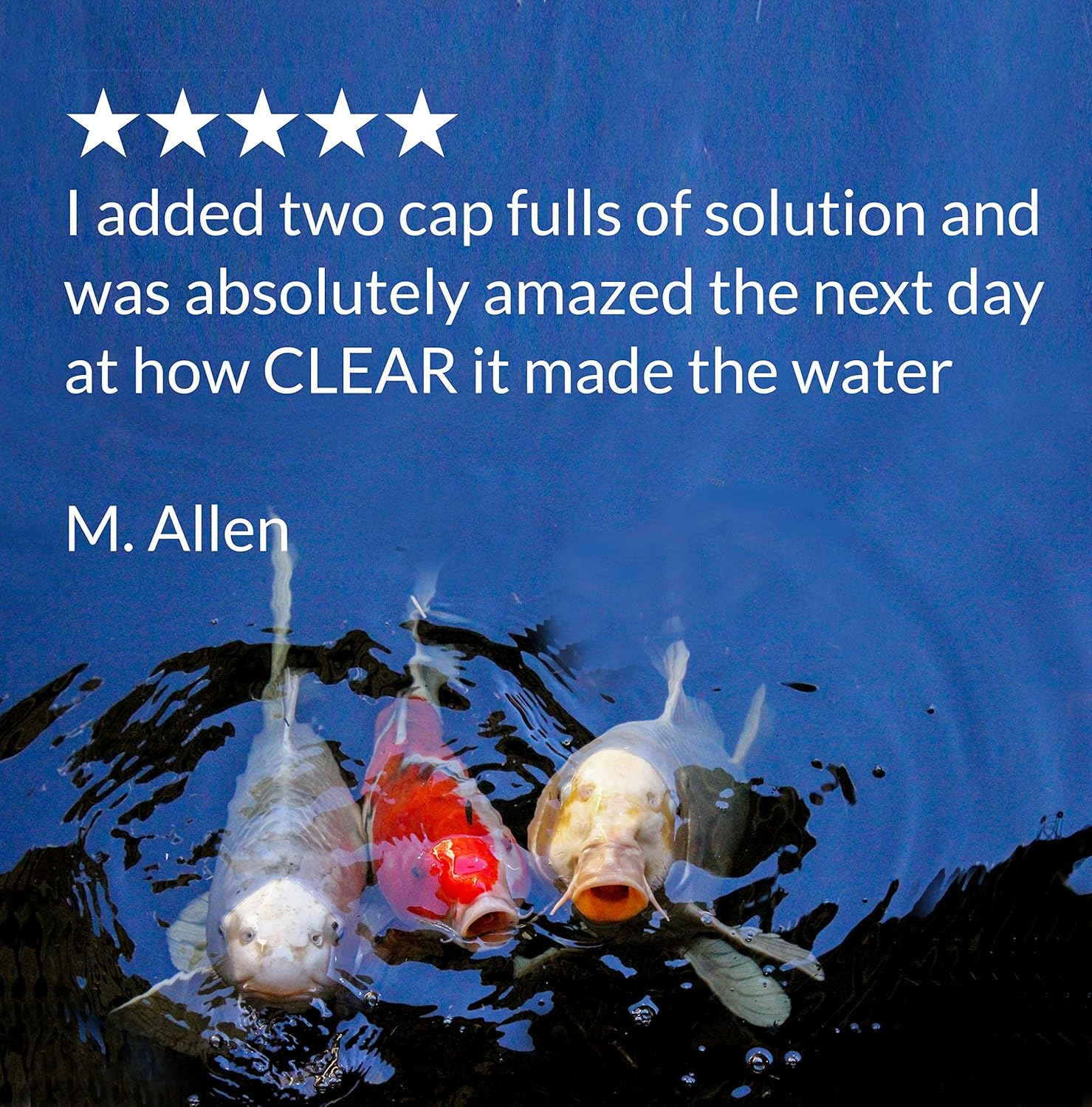 API POND SIMPLY CLEAR Pond Water Clarifier 16-Ounce Bottle (248B): Pet Supplies