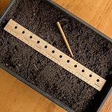 Deerstone Bamboo Seed Planting Ruler & Mini Dibber Set 12 Inch Vegetable view 6
