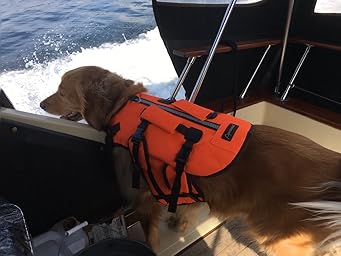 Aussie naturals dog life jacket Clearance