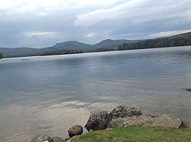 An image posted by the author.