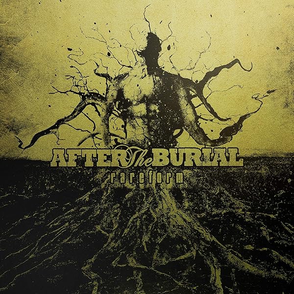 After the Burial, Dan Carle, Trent Hafdahl, Justin Lowe