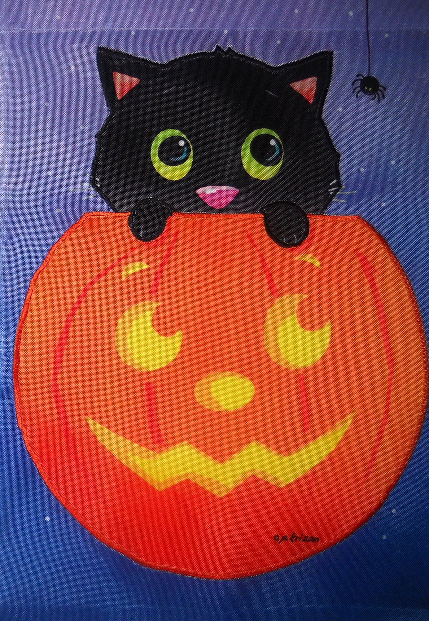 Peek-a-Boo Black Cat Large Decorative Halloween Flag - Appliqued 28" X 40" Fall Autumn Yard Garden Porch Patio School Classroom Library Office Door Veterinarian Decor Outdoor/Indoor Banner