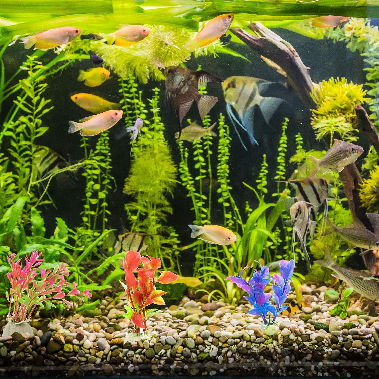 DIGIFLEX 10PC Aquarium Fish Tank Plants - Artificial Aquarium Ornaments - Assorted Sizes, Colours & Shapes - Image 3