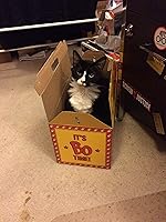 An image posted by the author.