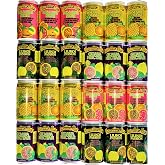 Hawaiian Sun Drinks 24 Pack Sampler (Pass-O-Guava,Pineapple-Orange, Lilikoi-Passion Fruit, Guava) 6 Pack of Each