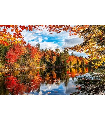 Amazon.com: Queenie® Stained Art 1000 Piece Autumn Golden