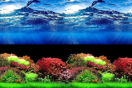 aquarium backgrounds canada