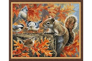 JOY SUNDAY cross stitch kits for adults，cross stitch patterns， Cross Stitch Kits Stamped Full Range of Embroidery Starter Kits for Beginners DIY 14CT 2 Strands -Squirrel and bird(printed) 18.5×15.7 inch