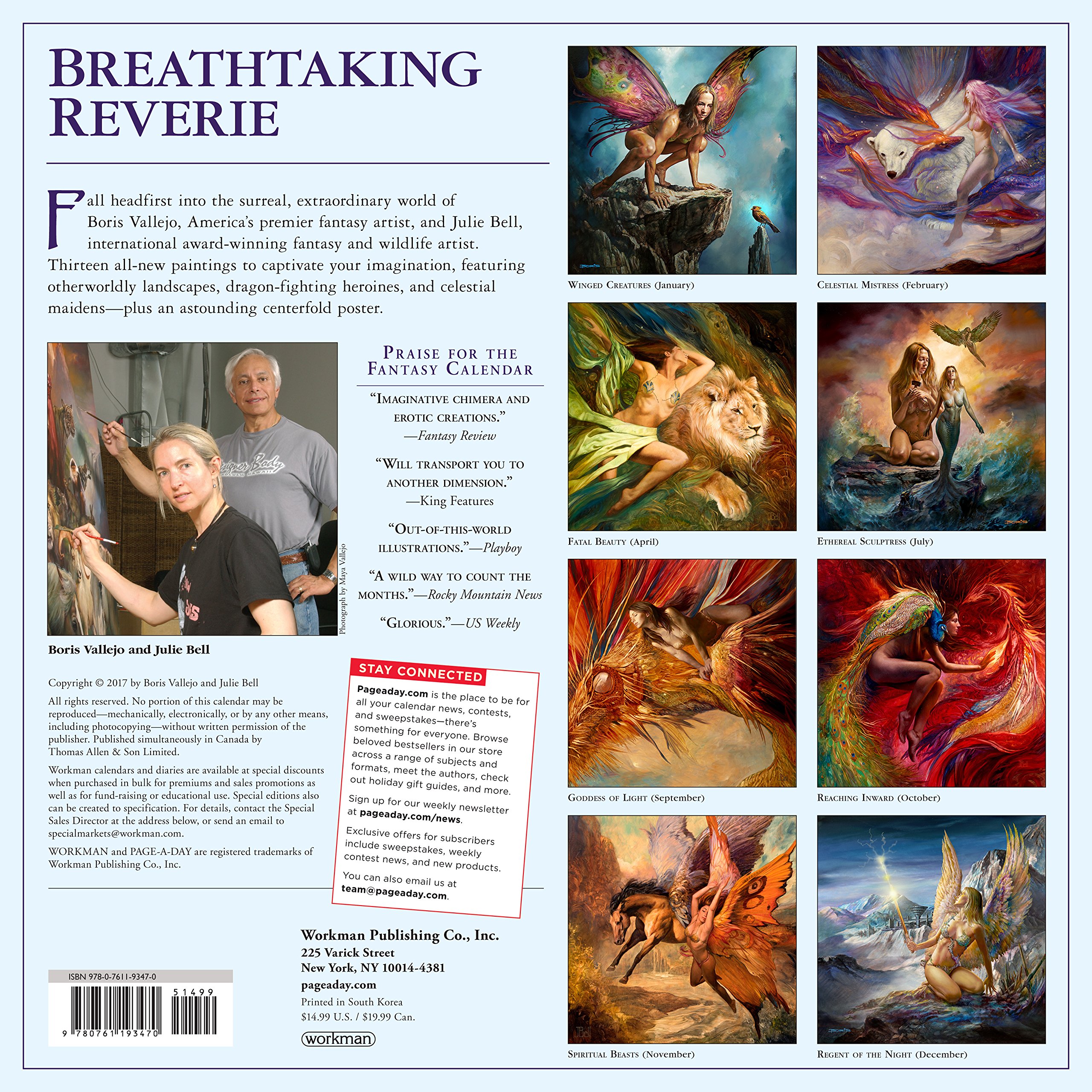 Monster Curves Bella Reese