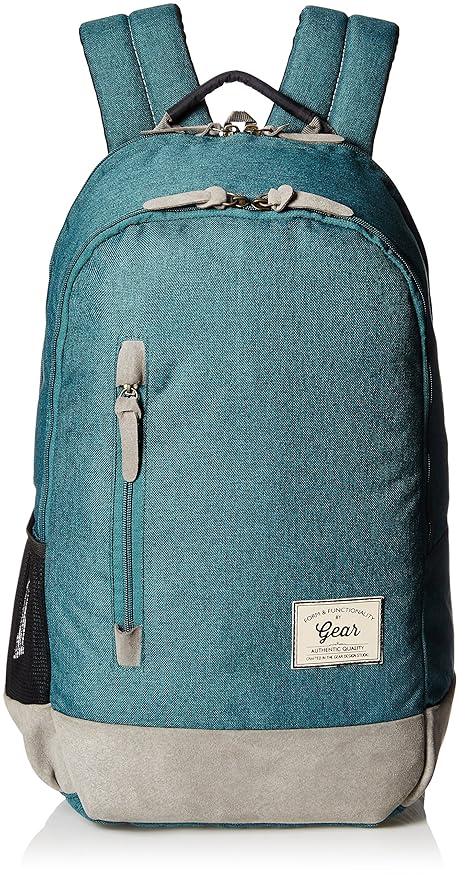 Gear Classic 24 ltrs Green and Grey Casual Backpack (BKPCAMPS80304)