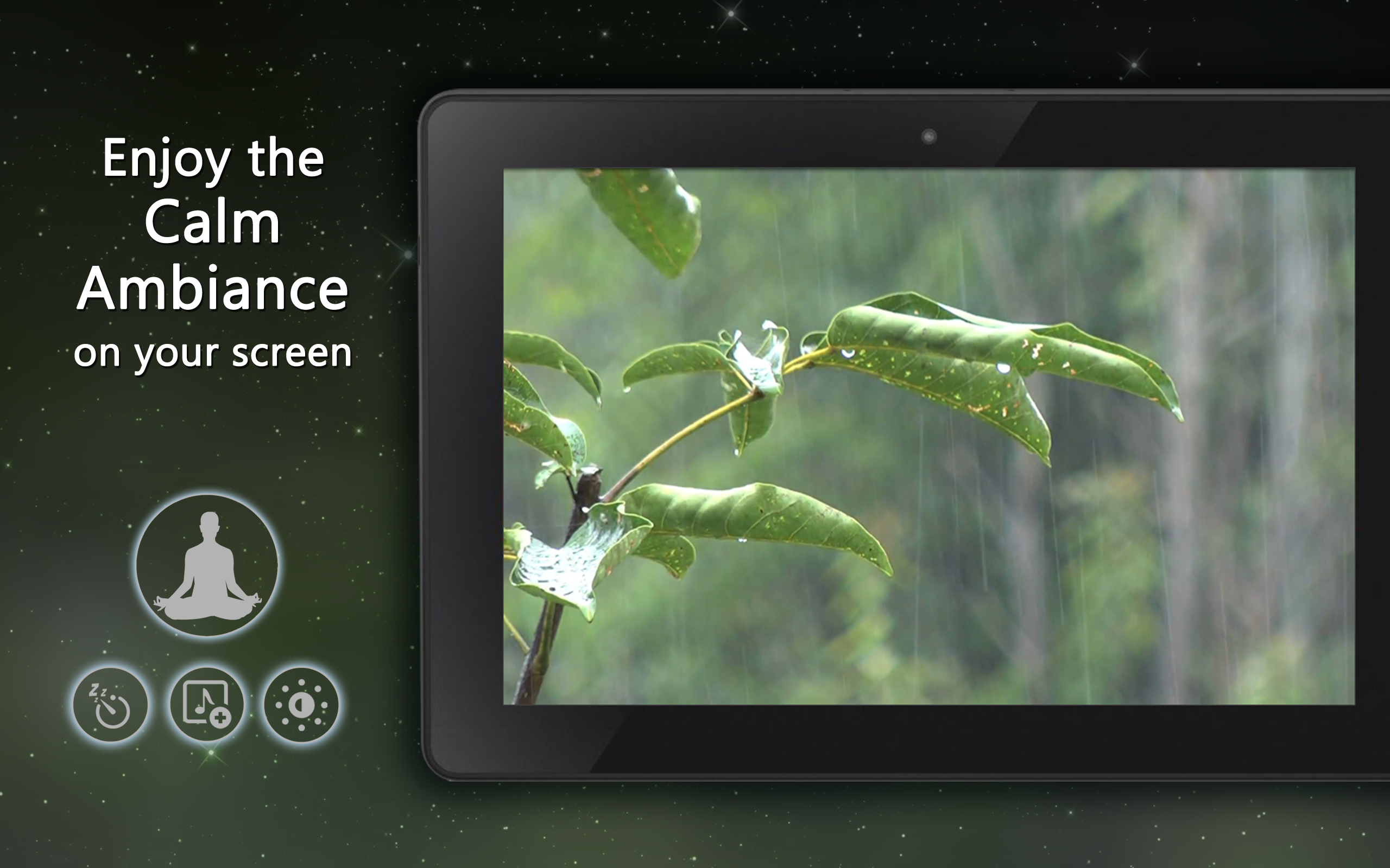 Natural Meditating Ambience - Enjoy the Calm Ambience on Your Screen