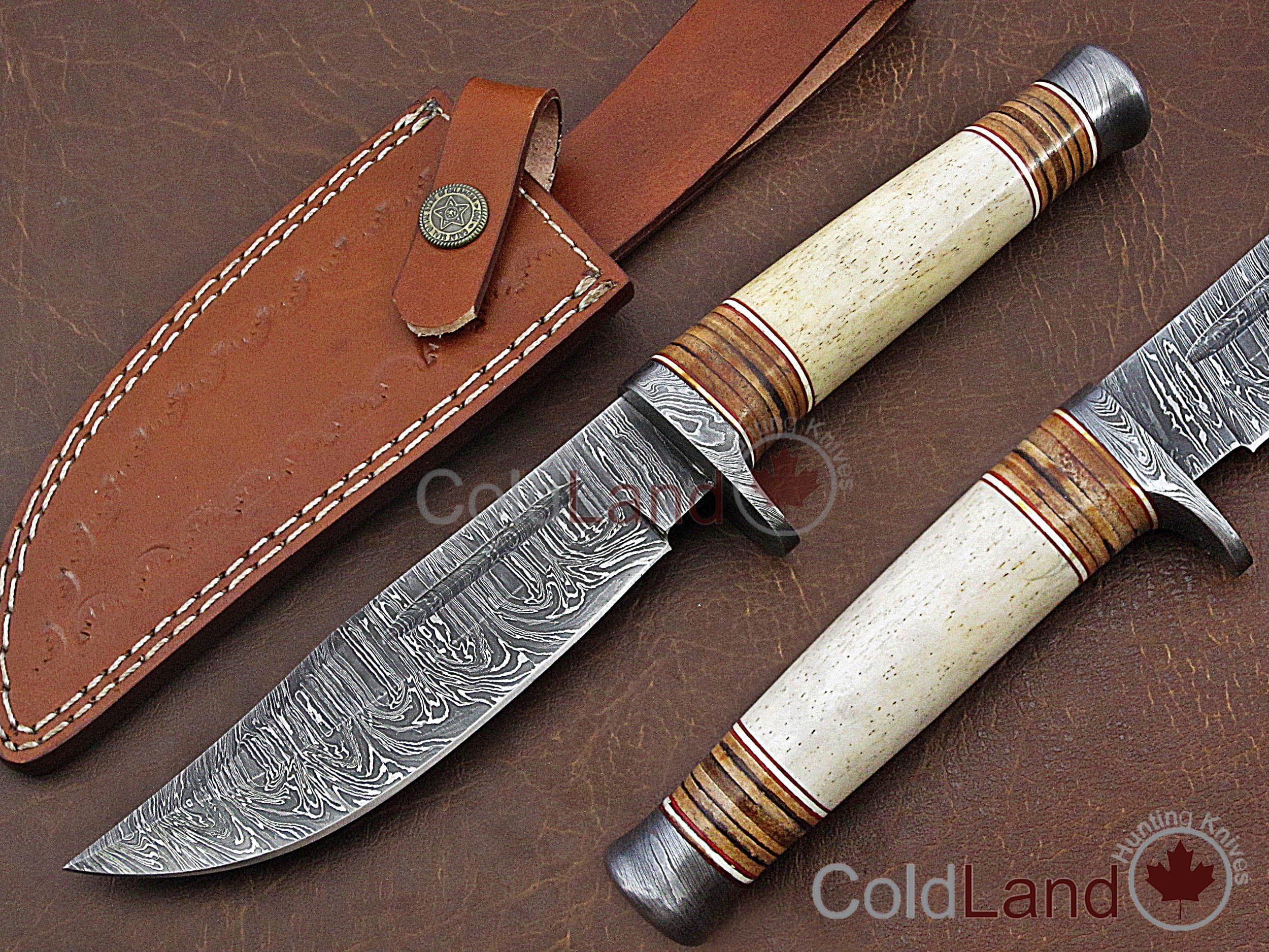 ColdLand |11.00" Hand Forged Damascus Steel Bowie Hunting Knife Tactical Combat Survival Camping Outdoor Bushcraft NH01-1