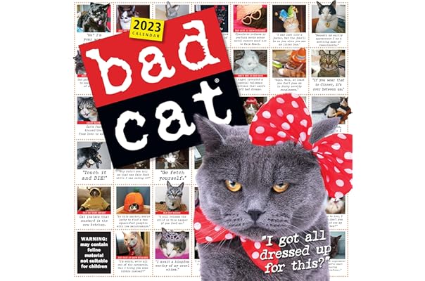 Calendrier Whiskas 2023 Amazon.com New Releases: The Best-Selling New & Future Releases In Cat  Calendars
