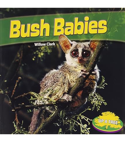 Amazon.com: The Petting Zoo Bush Baby Plushie, Gifts for Kids