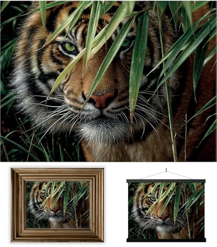 Amazon.com: 3D LiveLife Lenticular Pictures - Emerald Forest from