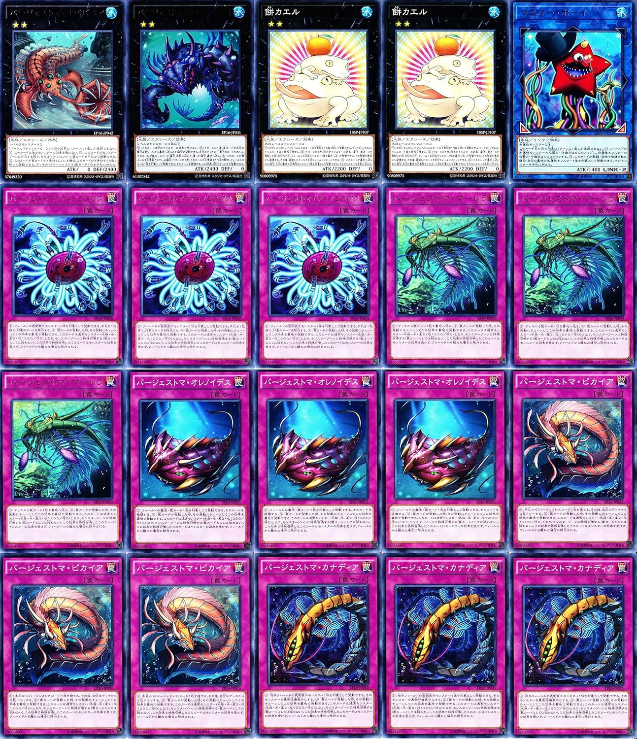 Amazon 遊戯王 バージェストマ デッキ 20枚set バージェストマ