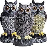 Galashield Owl Decoys to Scare Birds Away | Plastic Owls to Scare Birds Away | Owl Statue for Garden & Outdoors [Set of 3]