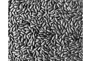 PINSTAR PREMIUM Emperor's Black Rice - Non-GMO, Whole Grain, Vegan - Rich in Protein and Fiber, All Natural (5 Pounds)