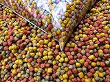 HERONS Koi Trio Pellets 3mm Premium Koi Food 1Kg Spirulina Omega-3 view 2
