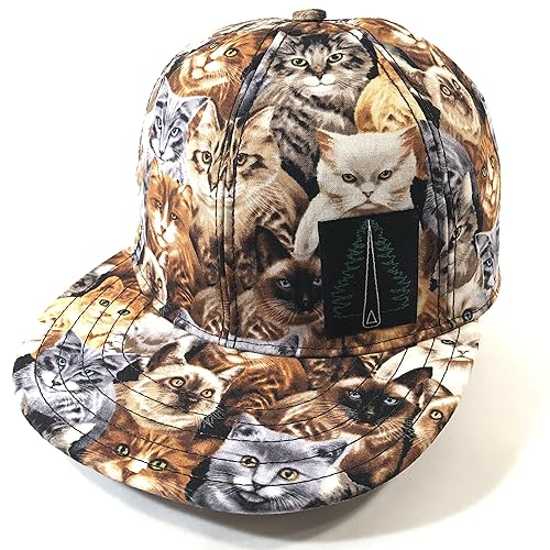 baseball hat for cats