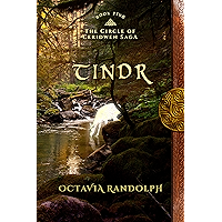 Tindr: Book Five of The Circle of Ceridwen Saga book cover