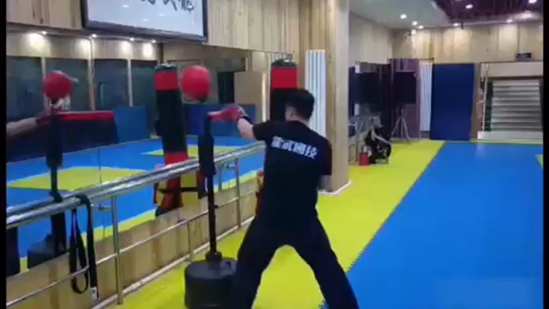 InnoLife MMA Boxing Speed Trainer Punching Spinning Bar with Dual Punch