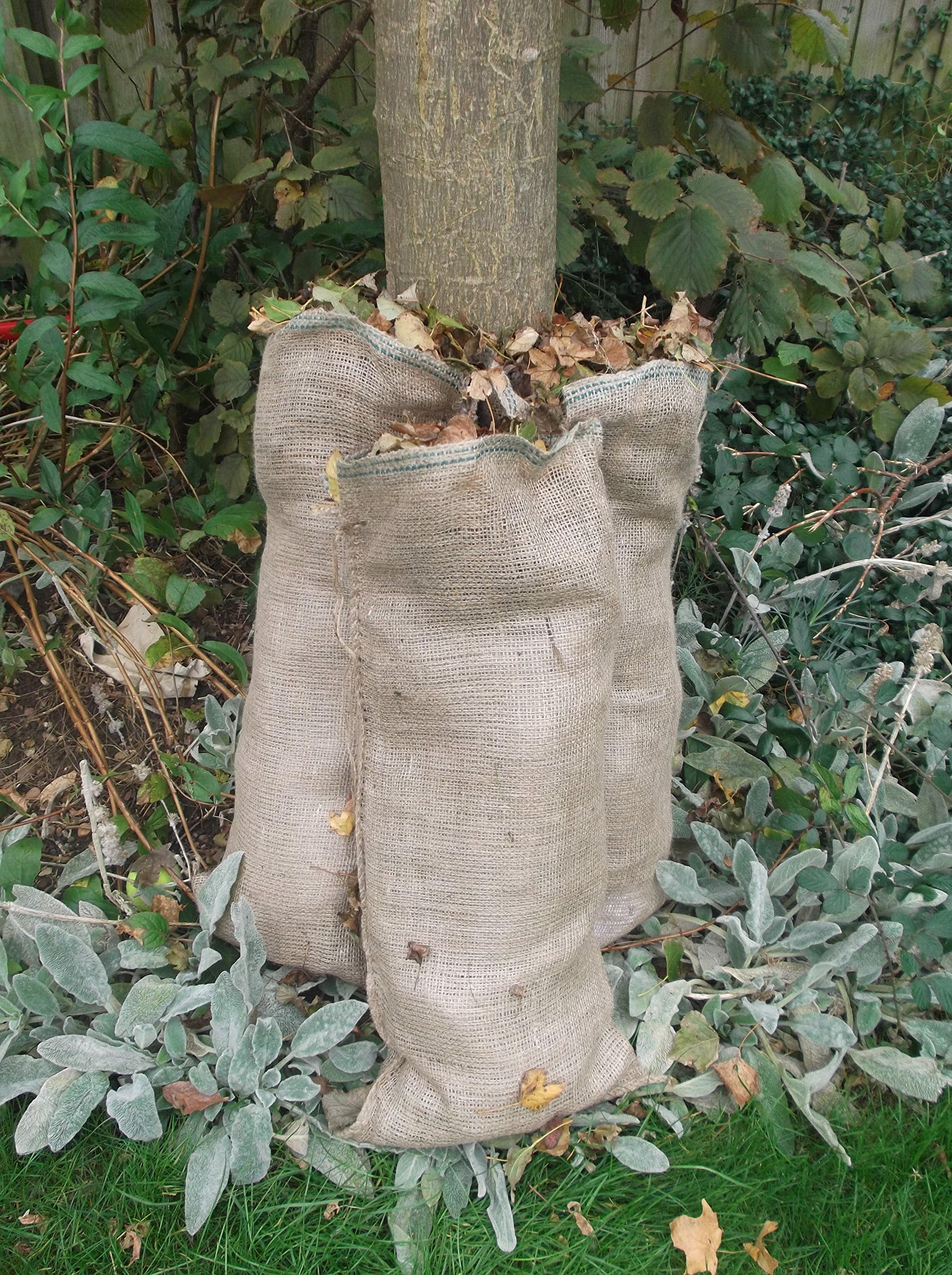 Yuzet 5x Large Natural jute compostable leaf sacks for composting leaves hessian bag