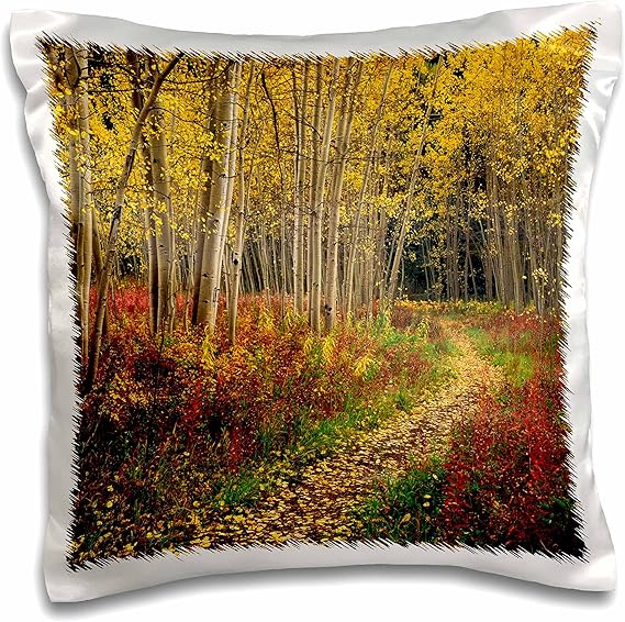 Danita Delimont - Kentucky - View of road, Louisville, Kentucky, USA