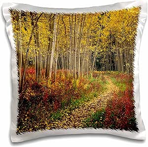 Danita Delimont - Kentucky - View of road, Louisville, Kentucky, USA