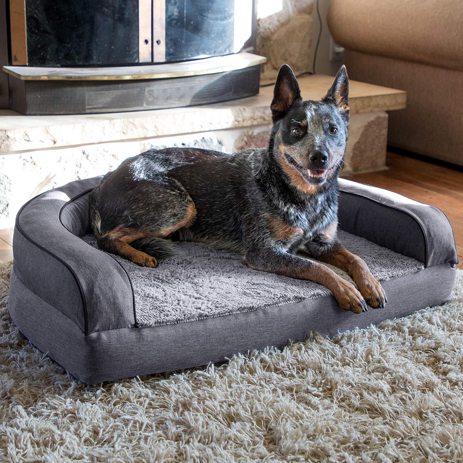 SportPet Designs Luxury Sofa Lounge Pet Bed, Blanket Reversible, Water-Resistant Liner, Top Memory Foam - Large, Gray (CM-10055-CS01) : Pet Supplies