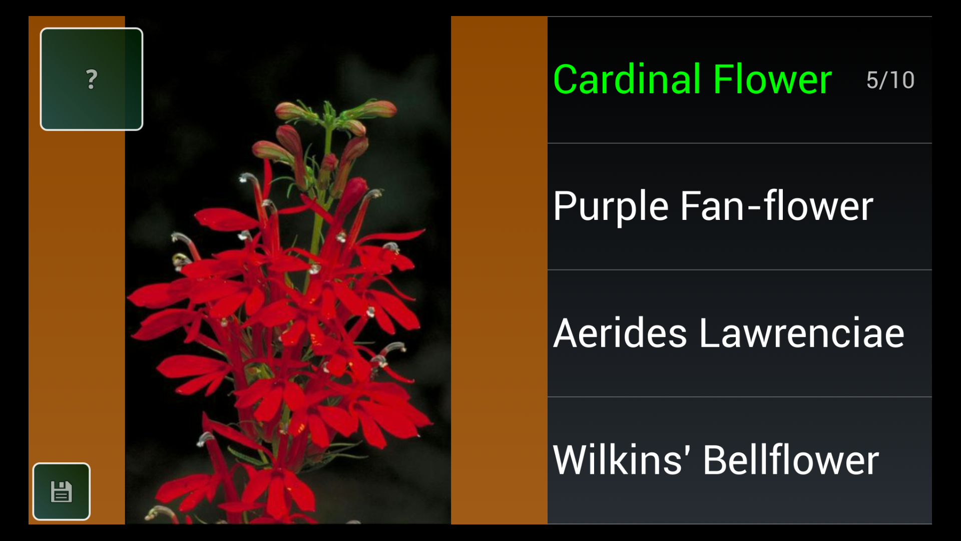 Flower Species Trivia Quiz Appstore for Android