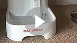 Amazon.com : Cat Mate Pet Fountain - 70 Fluid Oz. : Pet ...