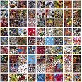 Amazon.com: Hydrographics Film Cartoon Water Transfer Printing 5 Packs ...