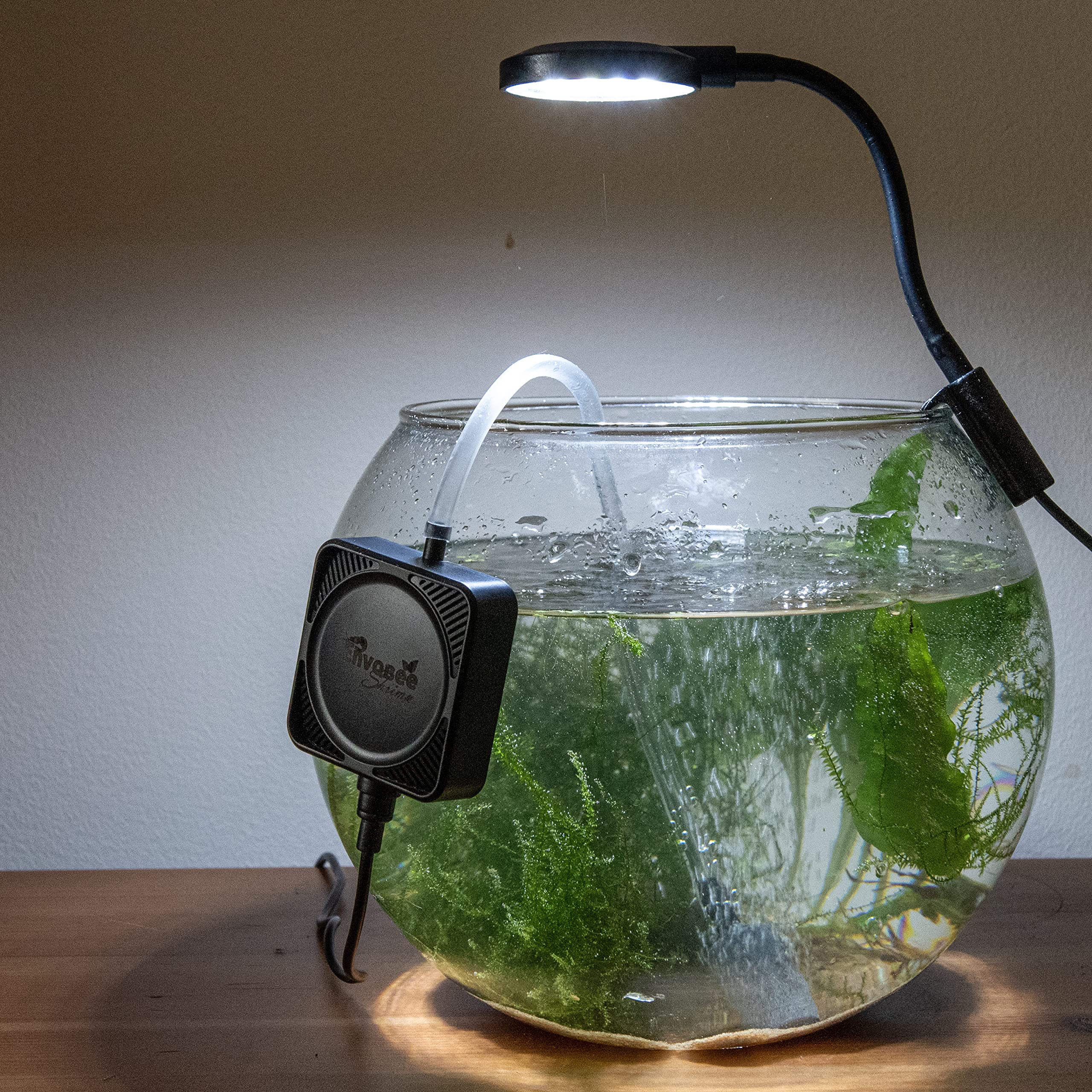 Aquarium Mini Air Pump Ultra Silent For Nano Fish Shrimp Oxygen Tank Energy Saving with Check Valve, Air Stone, Suction Cup for Tropical Tanks up to 50 Litre,1W (Black)