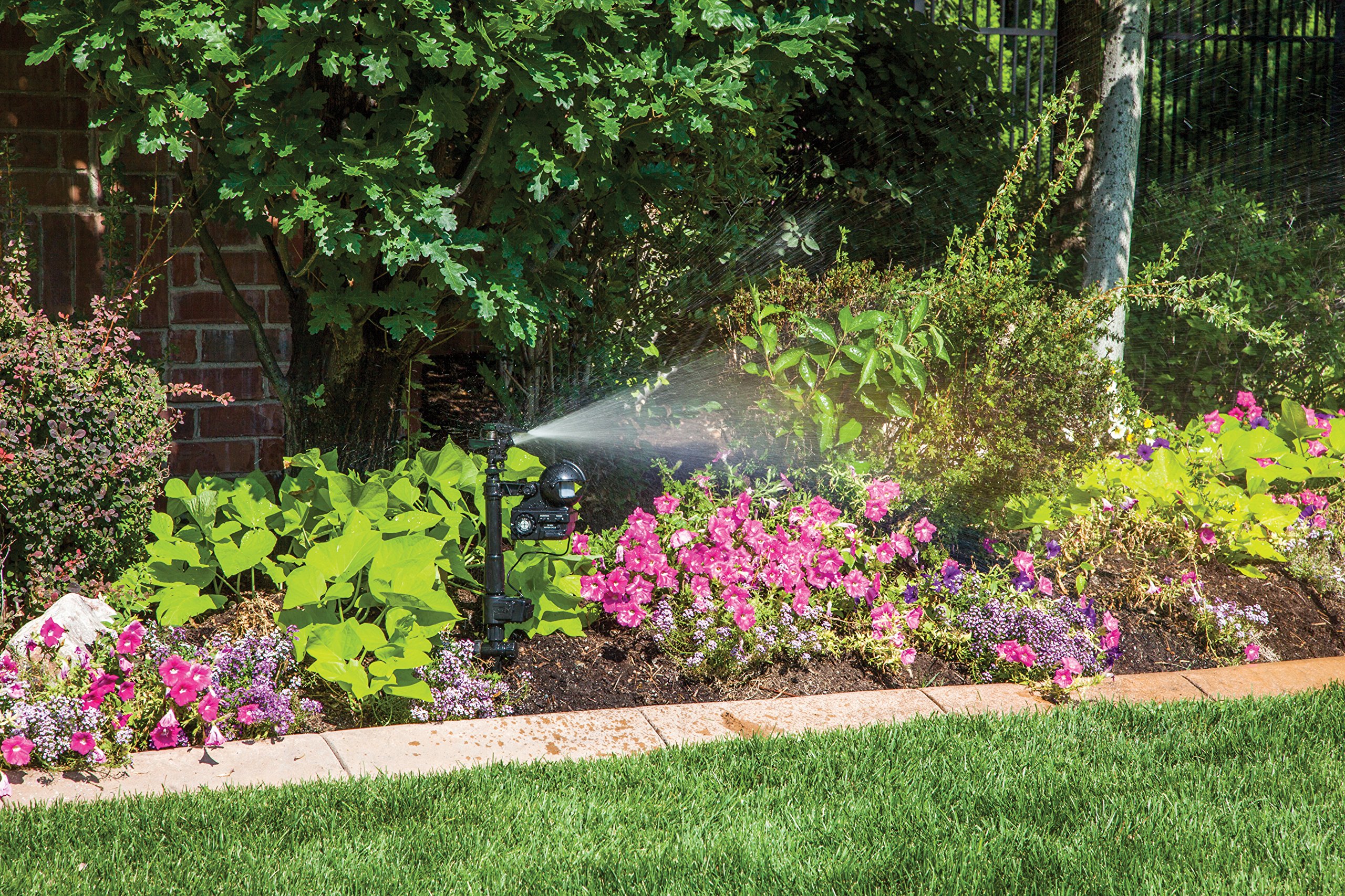 Orbit Enforcer Motion Activated Pest Deterrent Sprinkler